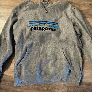 Patagonia Gray Sweatshirt Hoodie